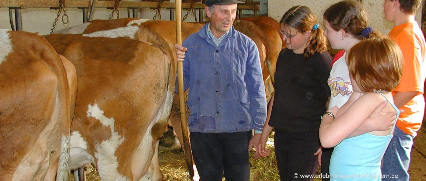 Bauernhofurlaub für Kinder Erwachsene Mitmach Bauernhof in Bayern
