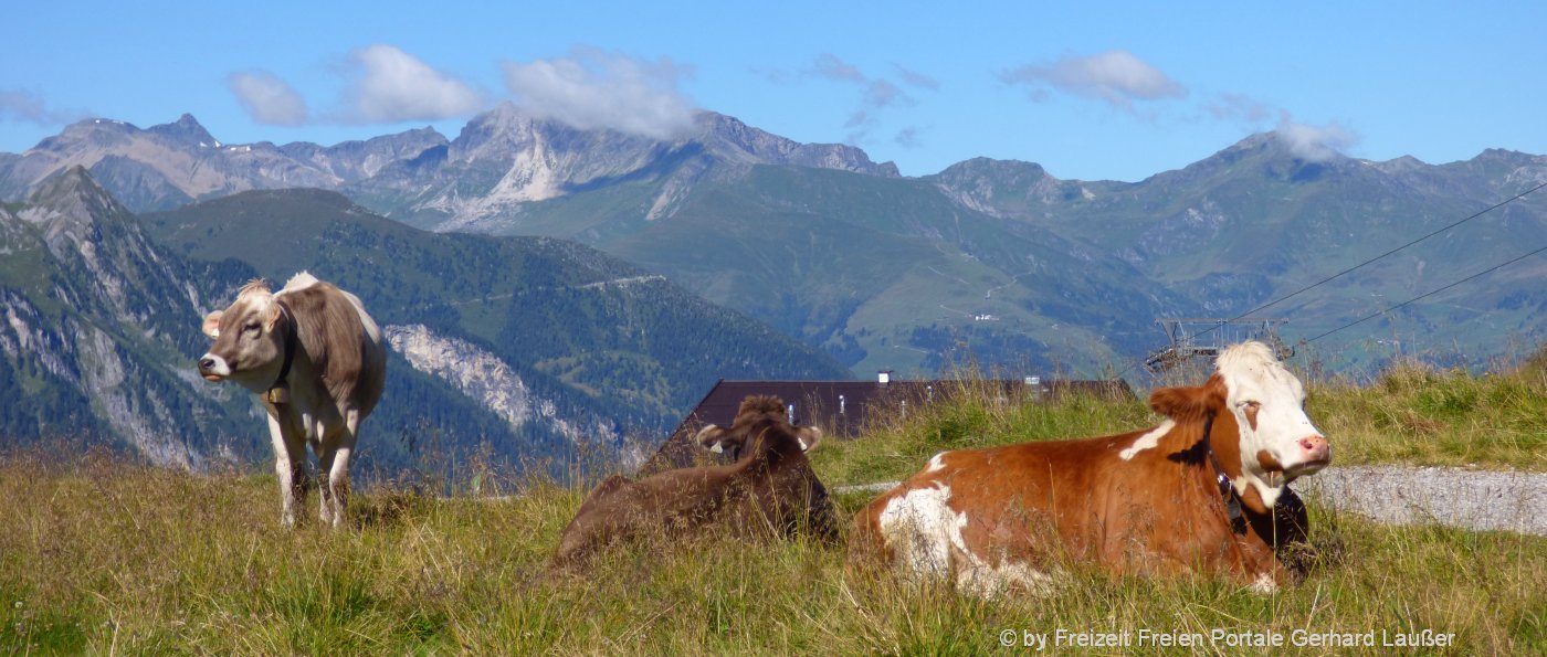 Hüttenurlaub in Bayern Hütten in den Bergen mieten