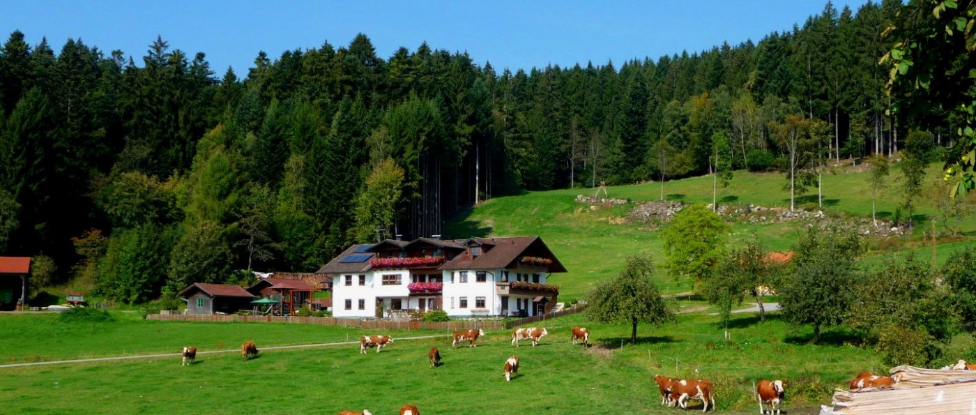 hacker-patersdorf-bergpension-bayerischer-wald-familienpension