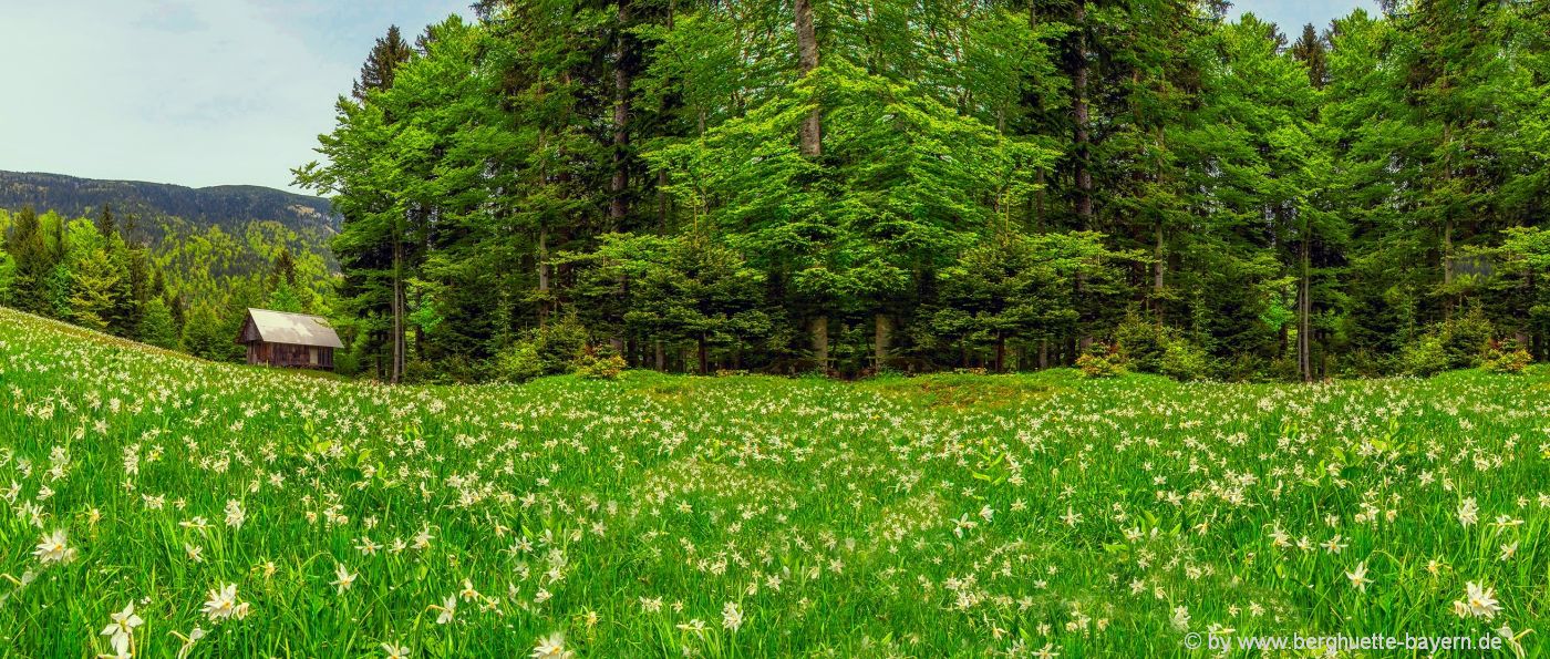 hüttenurlaub-bayern-abgelegene-einsame-berghütten-mieten-deutschland