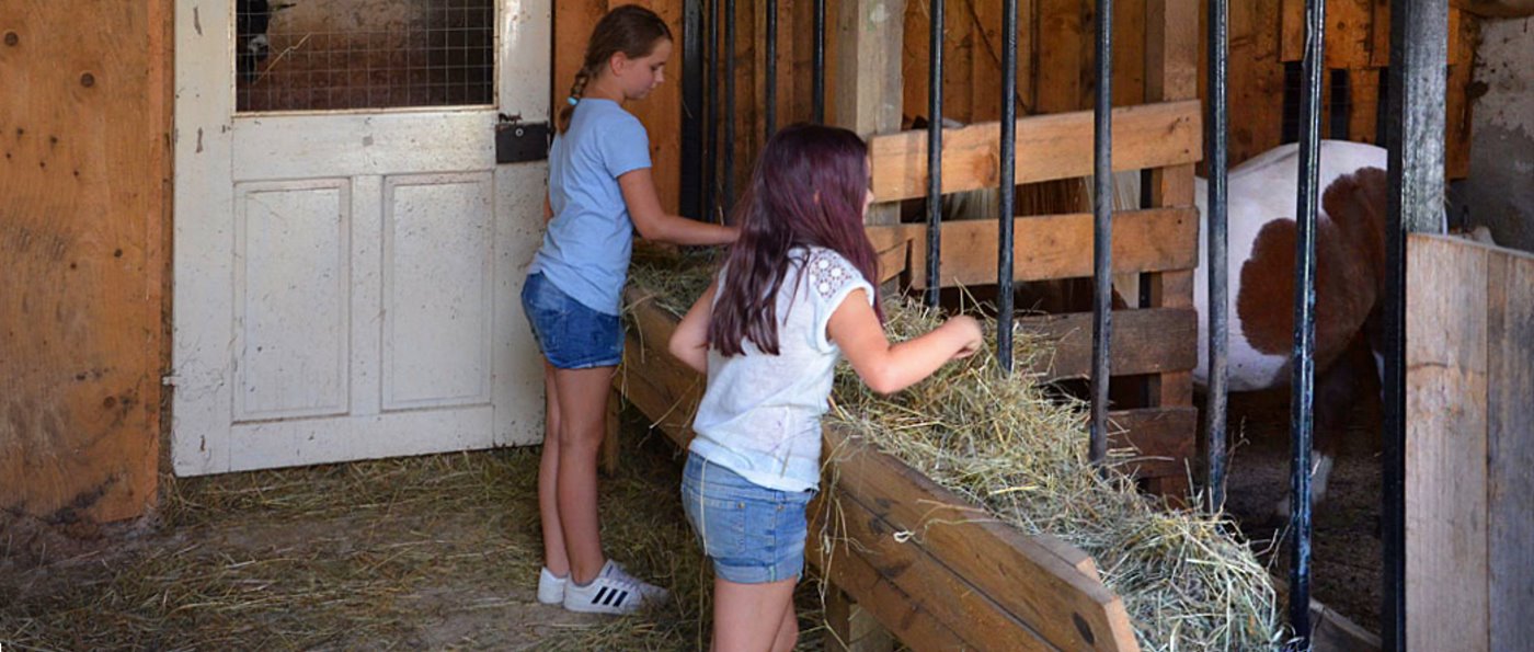 Ferienwohnung mit Streichelzoo Bayerischer Wald Kinder beim Pony füttern kräuterhof-ferienwohnungen-streichelzoo-bayern-bauernhof-pony