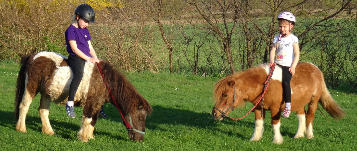 Reiterferienhof für Kinder in der Oberpfalz nissl-kinderbauernhof-bayern-ponyreiten-oberpfalz-ponyhof-reitferien