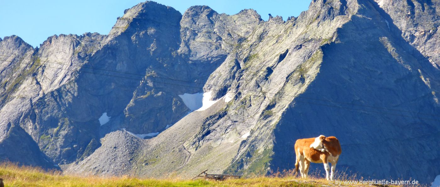 österreich-bergwandern-hüttenurlaub-gipfel-touren