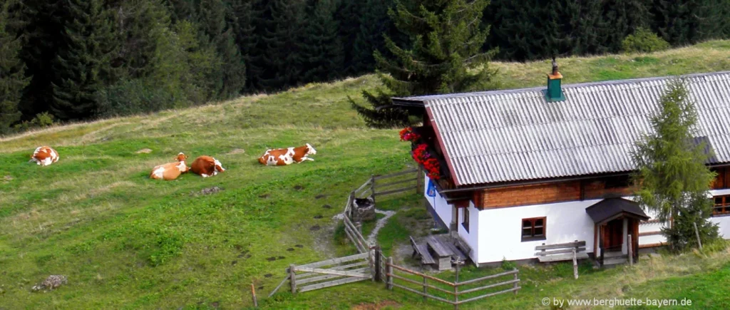 Ferienhütten in Bad Gastein – Übernachtung im Ferienhaus