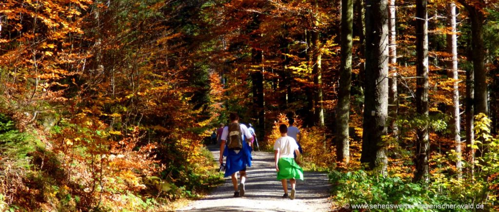 Wanderschuhe oder Trekkingschuhe Tipps zur Auswahl der richtigen Wanderschuhe oder Trekkingschuhe