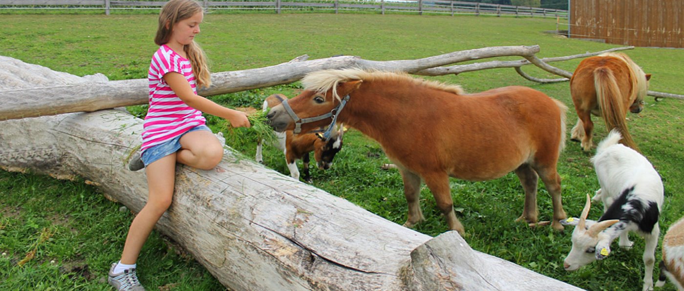 Familienhotel mit Ponyreiten und Streicheltieren Hotel mit Ponyreiten und Streichelzoo in Deutschland