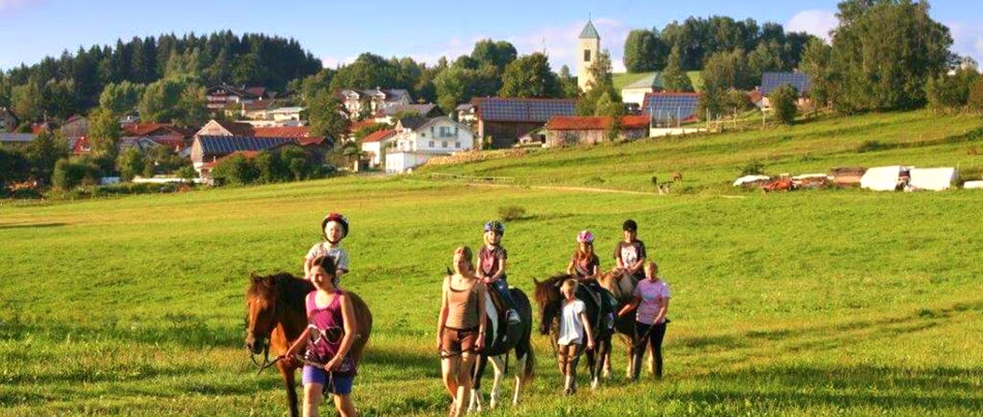 weiderer-gruppen-bauernhof-bayerischer-wald-reitehof