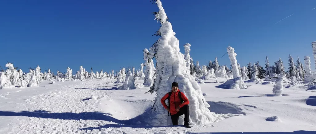 Winterwanderung im Winterurlaub Bayerischer Wald Schnee & Berge