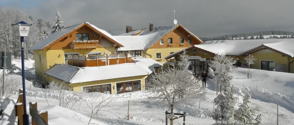 Skihotel im Bayerischen Wald mit Skifahren und Wellness