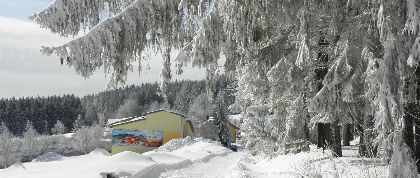 winterurlaub-skipension-bayerischer-wald-skihotel-landschaft
