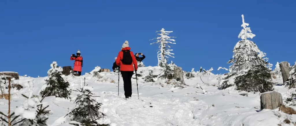 Bayerischer Wald Winterwanderung in Bayern Wintzerurlaub und Ski