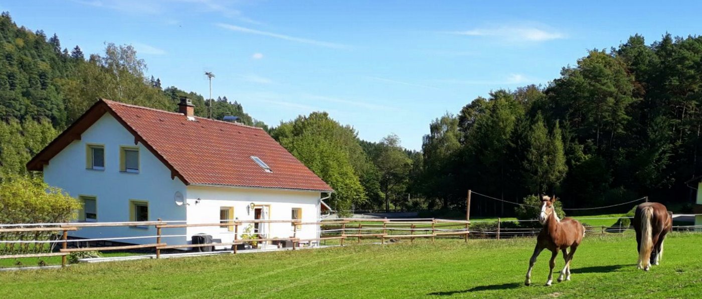 zankl-sofia-ferienhaus-6-personen-reiterhof-bayern-ponyreiten